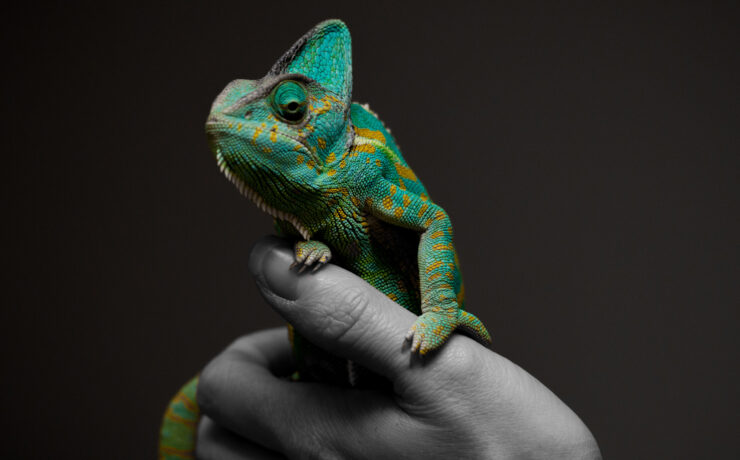 How to defend your business against polymorphic malware